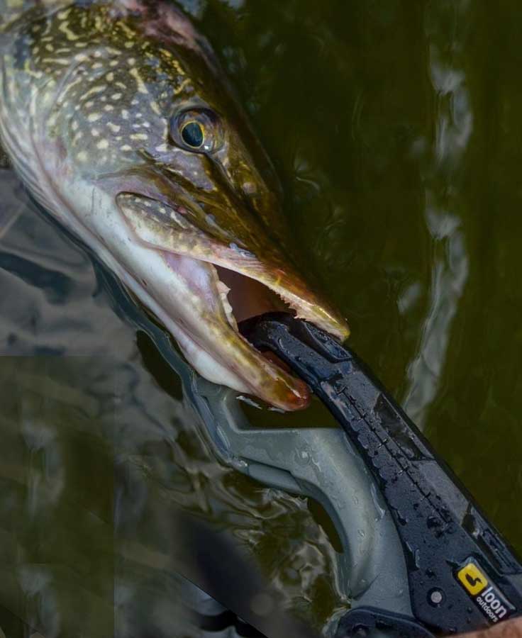 Apex Lip Gripper