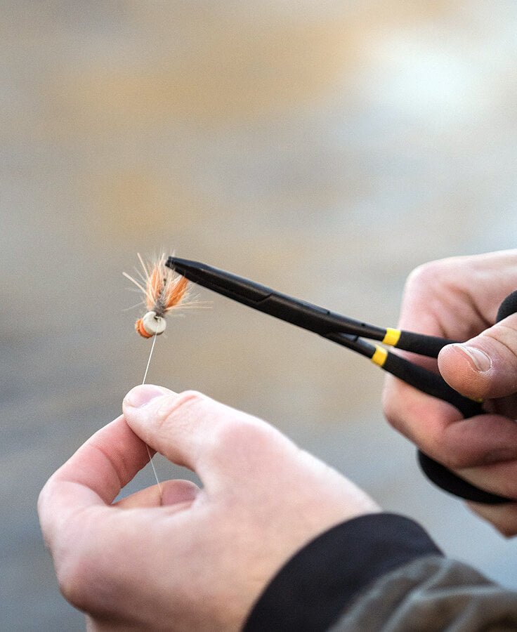 Rogue Forceps